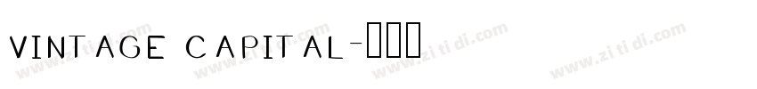 vintage capital字体转换